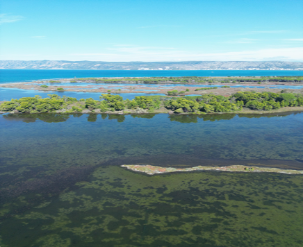 The Kune-Vain Managed Nature Reserve