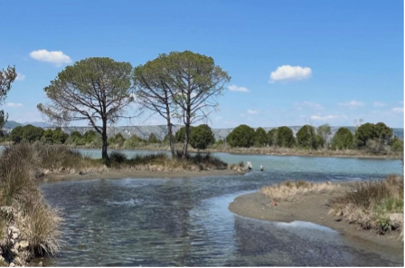 The Kune-Vain Managed Nature Reserve